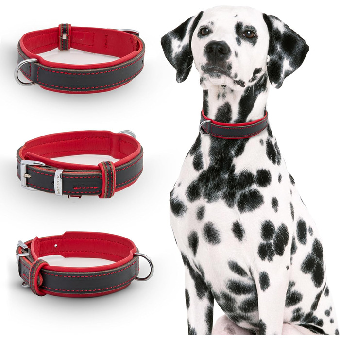 Нашийник для собак Michur Minimo Rot з натуральної шкіри, червоно-чорний, різні розміри, обхват шиї 28-36 см