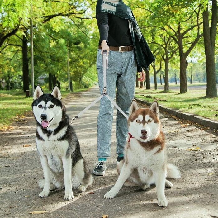 KOOLTAIL Подвійна висувна повіддя для собак на двох, до 50 кг, міцна, 5 м, поворот на 360°, без перекручування, кнопка блокування, для маленьких та середніх собак (Сірий)