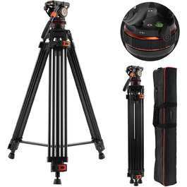 стиль: va3+bv10