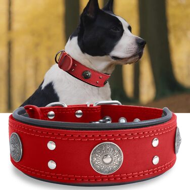 Leather Dog Collar, 5 cm Wide Robust Genuine Leather Collar, Handcrafted, Soft and Luxurious, Eye-Catching Best Choice for Large and Medium Dog Breeds (49.5-60 cm, red)
