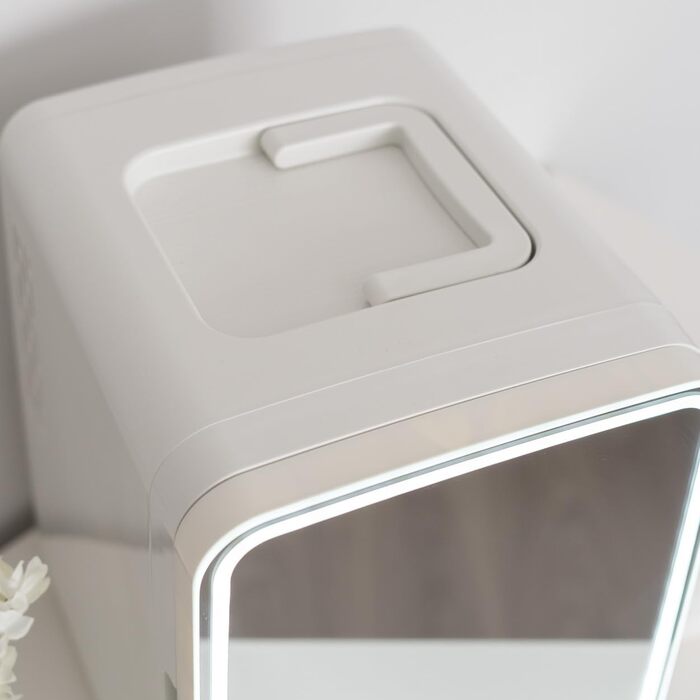 Flamingueo 10L Mini Fridge - 12V/220V Cosmetic & Skincare Fridge with LED & Mirror