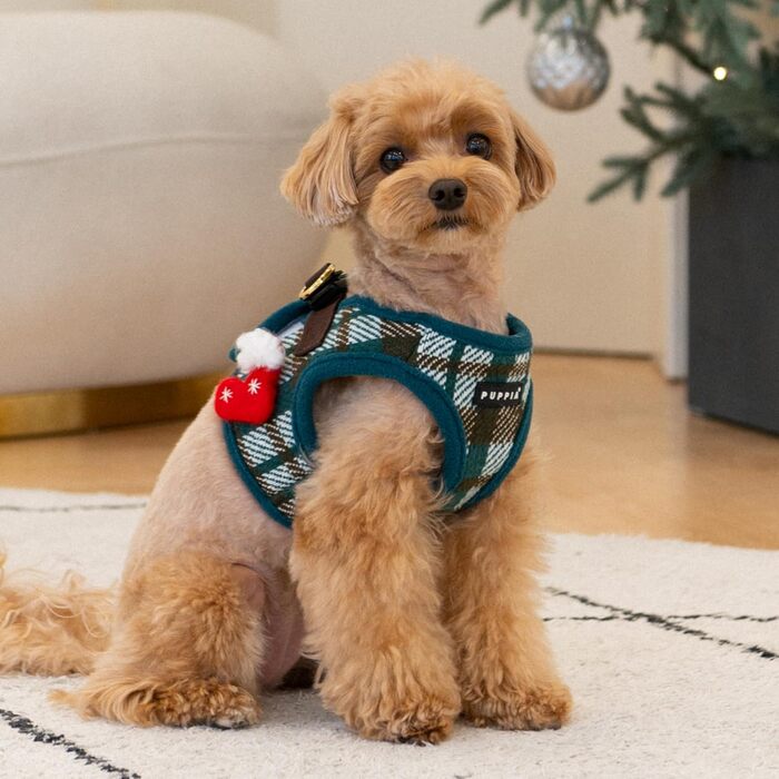 Нашийник для собак Puppia Douglas, Step-in, теплий, зимовий, у візерунку клітинки, для маленьких та середніх собак, розмір M (зелений, Small)