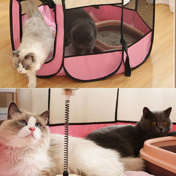 Клітка-загон для собак та цуценят, складана, 73x73x43 см, рожева