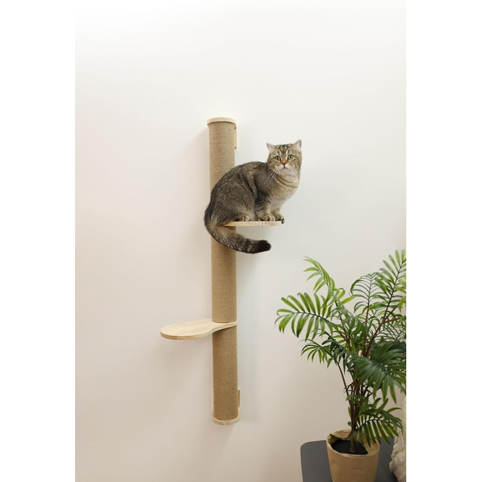 Гамак для котів Kerbl Timber, 38x33,5x16 см, до 6 кг, з м'якого плюшу, для кріплення на стіні, знімний чохол, іграшка для котів, аксесуари для тварин
