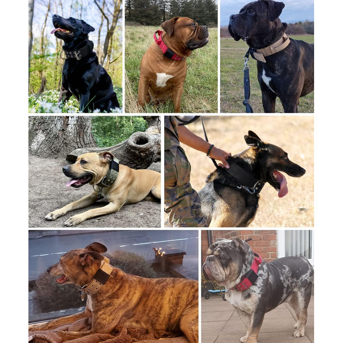 Dog Collar for Large Dogs - 5 cm Wide Collar with Handle for Extra Large Dog Breeds, Black, Soft Padded Neoprene Nylon Dog Collar for Large Dogs Big Dog Collar 56-66cm