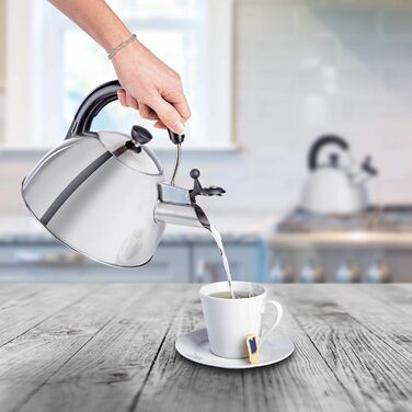 ONVAYA® Чайник з нержавіючої сталі | 2,5 л | Електрочайник | Чайник-заварник | Класичний свистковий чайник з мелодійним звуком | Для індукційних плит