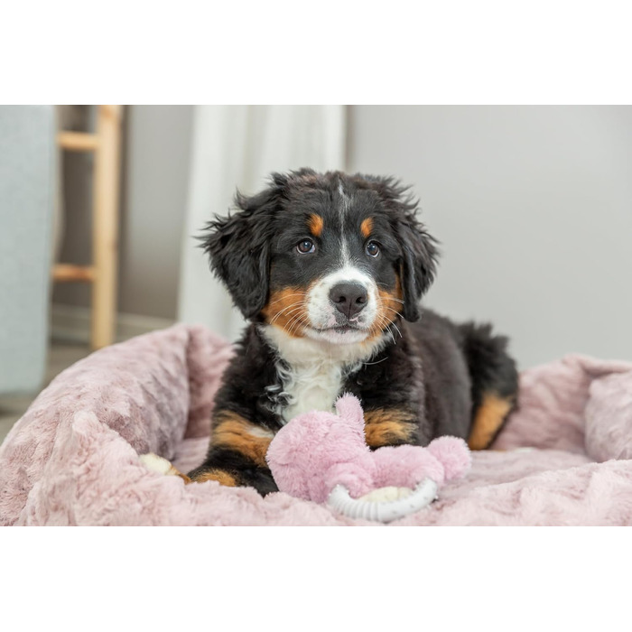 Ортопедичне собаче ліжко TRIXIE Vital Loki, рожевий, 65 x 50 см - м'яке ліжко з Memory Foam для собак, захищає суглоби