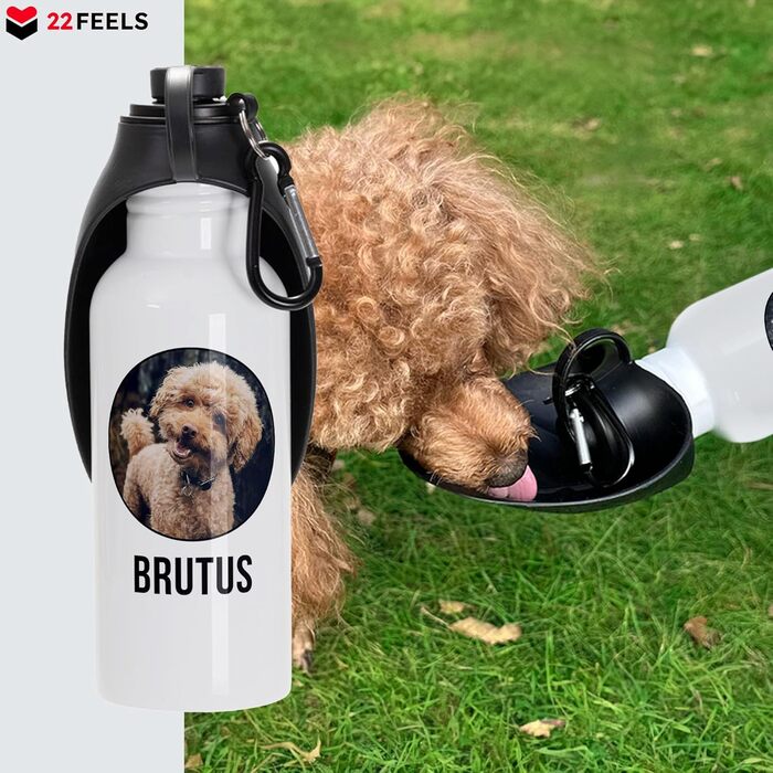 Персоналізована пляшка для води для собак 22Feels, 600 мл: фото, ім'я, карабін, витокозахист