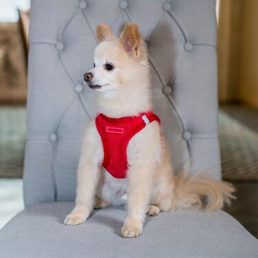 Шлейка для собак Voyager Step-In з плюшу від Best Pet Supplies, розмір L (45-52 см), колір шоколадний