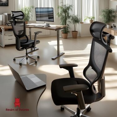 Офісний стіл Realm of Thrones CAPTAIN Deluxe: ергономічний стілець з регульованою поперековою підтримкою, дихаюча спинка, комфортне сидіння, сталева база, відкидні підлокітники (сірий)