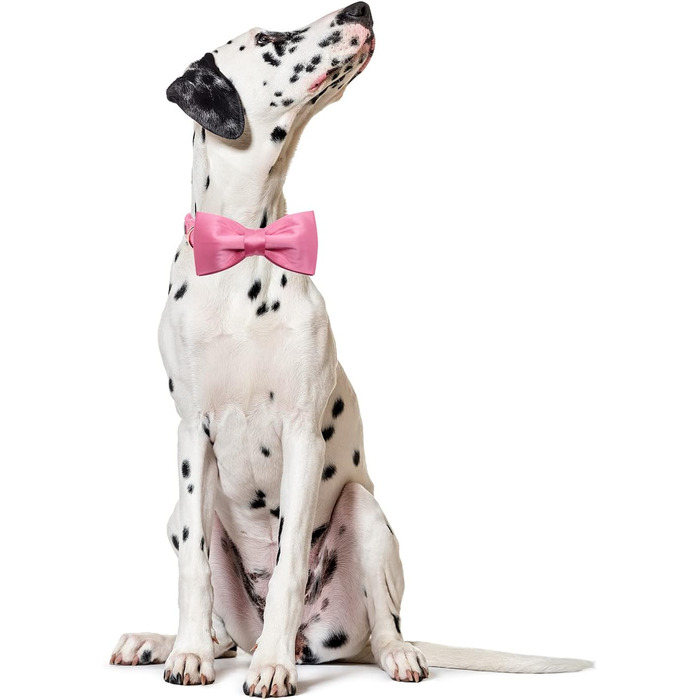 Нашийник для собак Lionet Paws з метеликом - зручний шовковий нашийник зеленого кольору для маленьких собак, знімний метелик, розмір 25-40 см (S, 1 шт., персиковий)