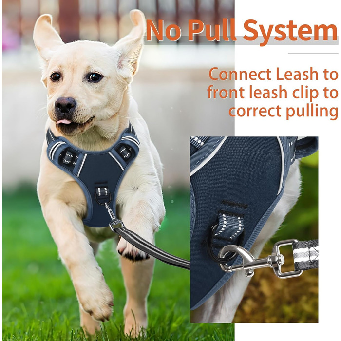 Шлейка для собак HEELE з розподілом навантаження, світловідбиваюча, з м'якою ручкою, контроль, 2 металеві кільця, для собак маленьких, середніх та великих порід, Aree, Зелена, C-Aree Grün (L, Uni-Königsblau)