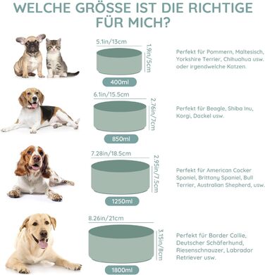 Керамічна миска для собак та котів SPUNKYJUNKY, 1250 мл, світло-зелена