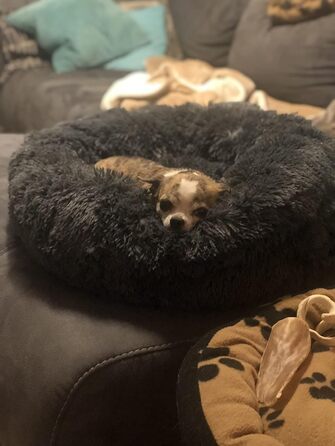 М'яке ліжко для собак Haoye, кругла подушка для домашніх тварин, ліжко для котів та собак Donut, миється, зручне ліжко для котів та собак (діаметр 50-120 см / 7 розмірів), діаметр 60 см (чорний, 80 см)