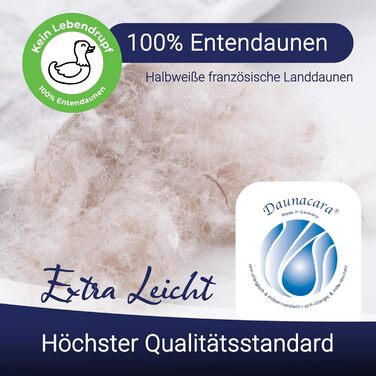 ZOLLNER 2-Pack Deluxe Down Pillow Set - Made in Germany – Suitable for Allergy Sufferers – Cover made of high-quality Mako cotton - washable up to 60°C - 80x80 cm - Hotel quality 80 x 80 cm 2-pack