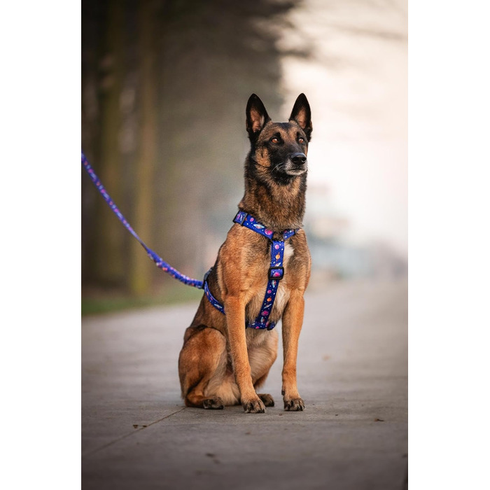 Шлейка для собак середніх порід | Не вбирає вологу | Регульована | З контролем | Легка класична шлейка для собак | Dog Harness - M (Cosmic Bloom, S - виміряйте собаку)