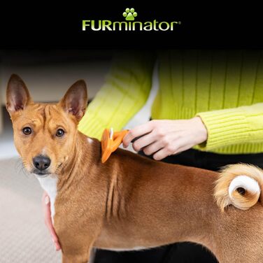 FURminator для собак середнього розміру з короткою шерстю: щітка для видалення підшерстка (Версія 2.0)