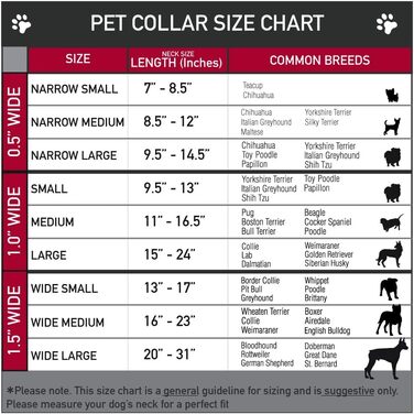 Нашийник для собак Peanuts Snoopy та Woodstock з пластиковою застібкою, блакитний, ширина 1,3 см, розмір S (17,8-21,6 см)