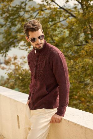 Чоловіча флісова куртка Les Umes з коміром-стійкою, Regular Fit (Бордовий, 3XL)