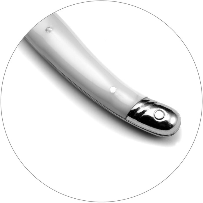 Набір столових приборів для стейка Lou Laguiole TRADITION (48 предметів) з нержавіючої сталі з кольоровими пластиковими ручками, на 12 осіб