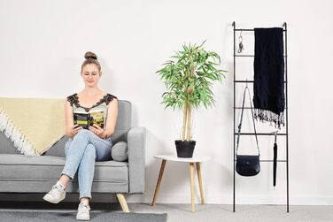 Iris Ohyama Stylish Clothes Rack, Ladder Design, Black, Includes Hooks, Robust Frame, Non-Slip, For Bedroom, Studio, Closet, Space-Saving, Clothes Drying Rack, Easy Assembly, PI-O150