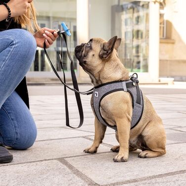 Шлейка для собак Merino curi Casp Back (2XS, Червоний)