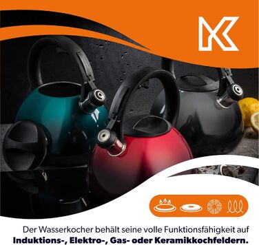 Чайник KADAX з нержавіючої сталі, 3л, з свистком, ретро-дизайн, блакитний