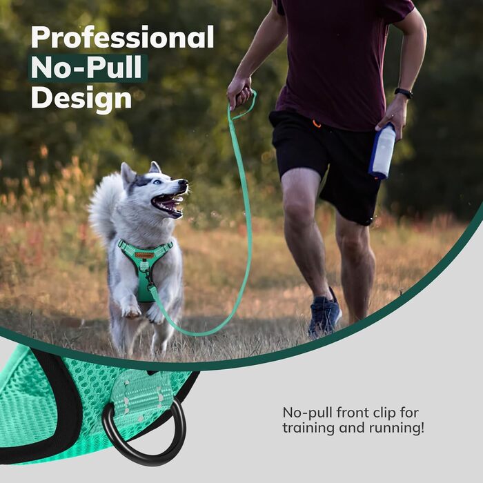 Нашийник для собак FAYOGOO з відбиваючими елементами, без затягування, для прогулянок (зелений, XS)