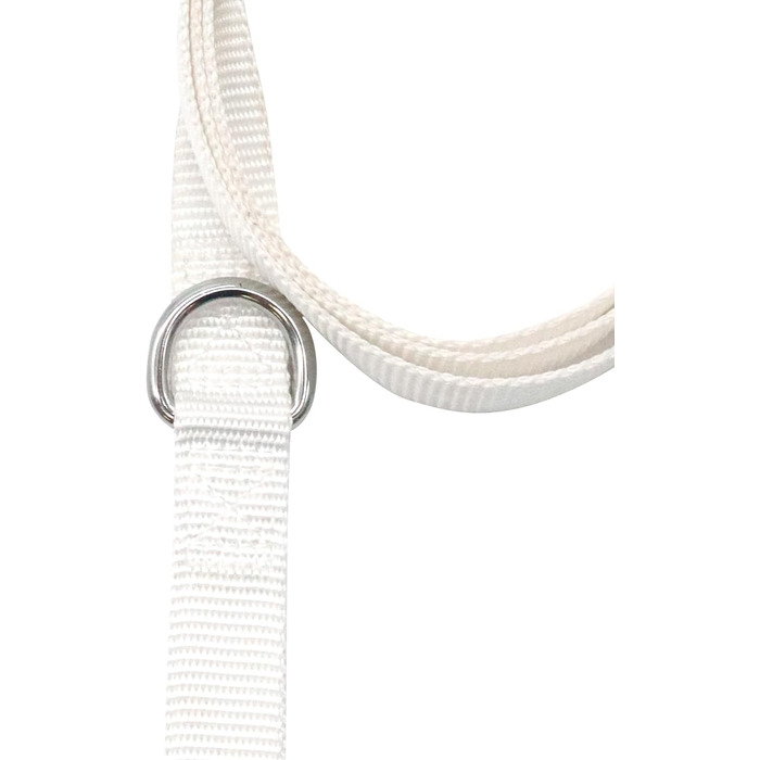 Ошатний нашийник Croci Ceremony для собак, для весілля, з бантиком, атлас, срібні деталі, для середніх та великих собак, розмір 41–66 см (білий, універсальний)