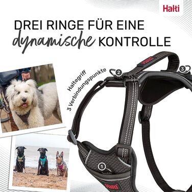HATI Anatomy Dog Harness with Handle – Freedom of Movement for Your Dog. 3 Connection Points, Neoprene Padding, Adjustable and Reflective (Size Construction Green) (Gray, XL)