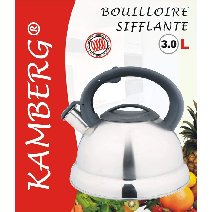 Камберг – чайник/заварник 3 літри – нержавіюча сталь – ергономічна ручка – для всіх типів плит, включаючи індукційну, сірий (Classic)