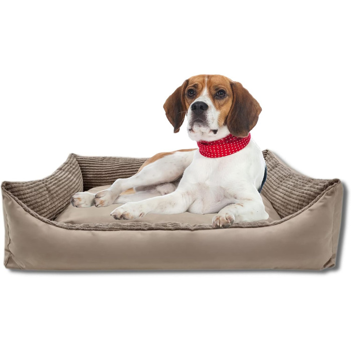 Odolplusz XXL - Dog Bed for Large Dogs - Dog Cushion - Dog Sofa with Reversible Cushion | Removable and Washable Cover [ ] (Beige Cord, L 100 x W 70 x H 19 cm)