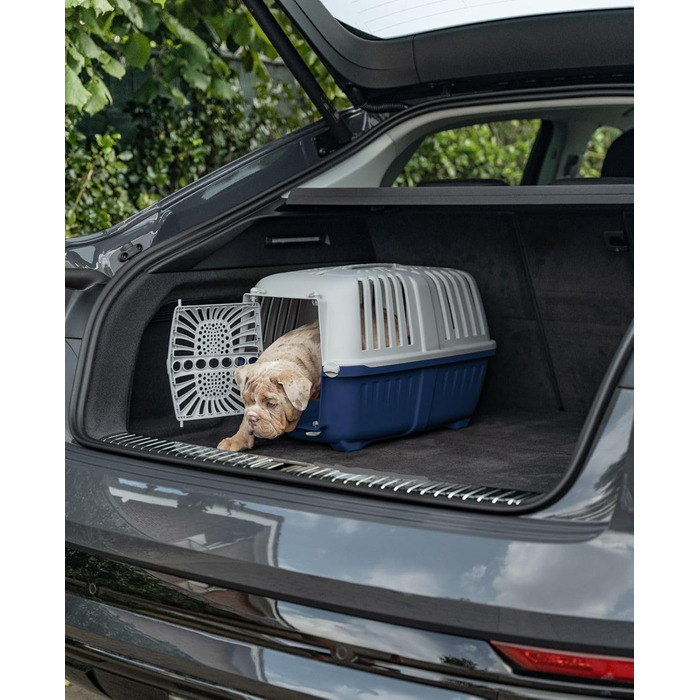 Транспортний бокс для собак Lionto, 55x36x36 см, з ручкою, для собак та котів, до 15 кг, синій