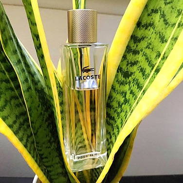 Парфумована вода Lacoste, 90 мл, східна