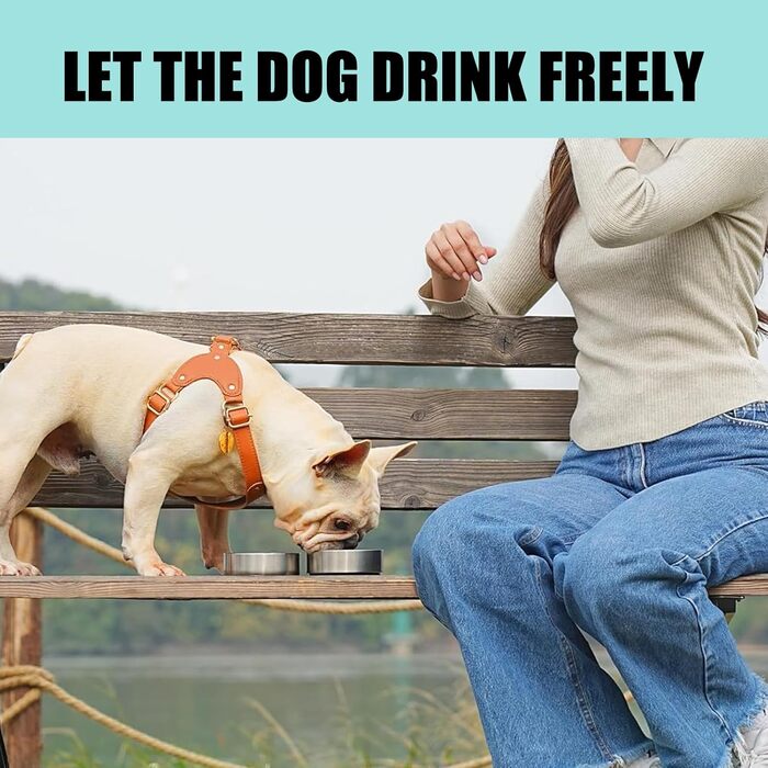 Термофляга для собак 950 мл 3-в-1 з мискою та водопоєм, з нержавіючої сталі, для подорожей та активного відпочинку (Блакитний, L)