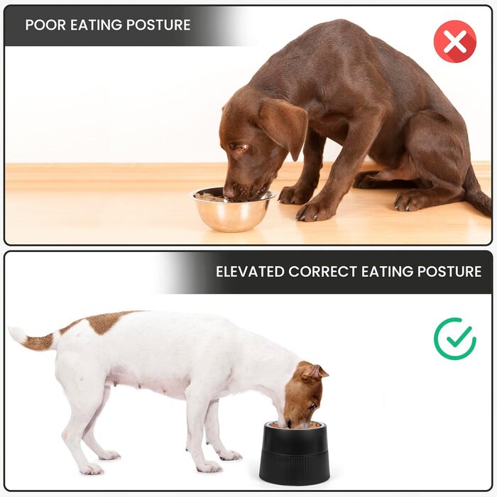 Станція годування Belle Vous для собак з висувними мисками, 400 мл, миска з нержавіючої сталі з антиковзним підставкою, велика/мала/середня собака/кіт