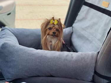 Крісло-ліжко для собак Petsen з іменем, сіре. Зручне автокрісло для собак маленьких порід, автоліжко з ліжком та поводок.