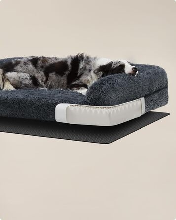Feandrea FluffyHug Dog Bed, Dog Cushion Size XL, Dog Mat for Medium and Large Dogs, Dog Sofa with Ruffle Foam, Removable and Washable Cover, 106 x 80 x 23 cm, Ombré Grey PGW233G01 (XL (106 x 80 x 23 cm), dark grey)