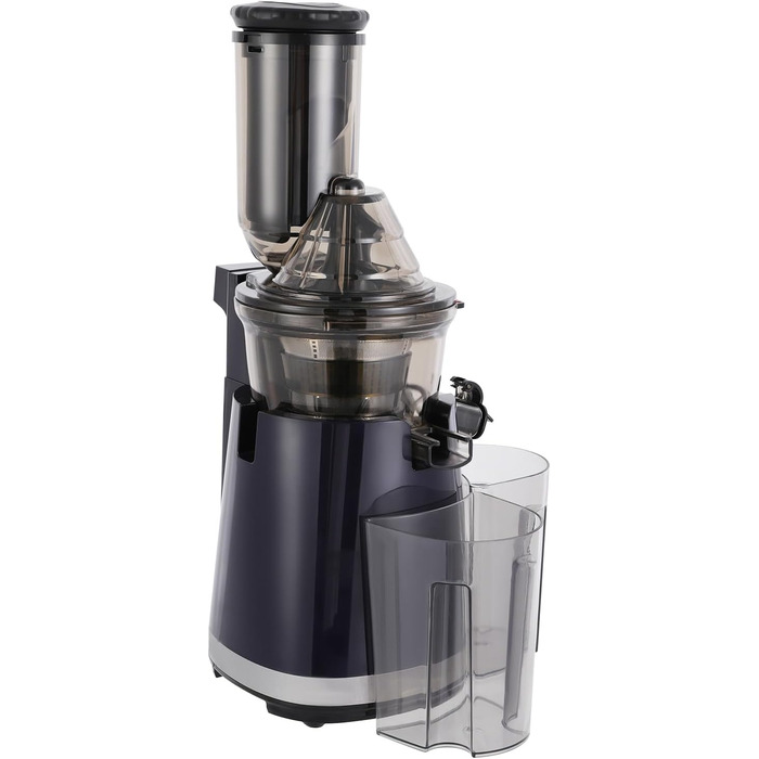 Juicer Slow Juicer, 250W Compact Electric Juicer 800 ml Juice Press for Vegetables and Fruits