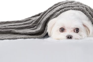 MIULEE Лежанка для собак 70x100 см, м'яка ковдра для тварин, флісова лежанка для собак і котів, легко миється, підходить для собак, котів, морських свинок та інших тварин (X Large(100*160cm), світло-сіра)