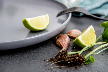 Обідній сервіз Konsimo Victo, 24 предмети