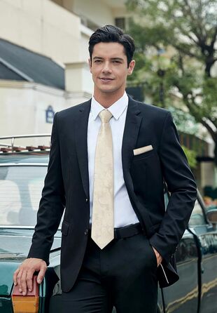 Краватка та нагрудна хустинка Enlision для весілля: шовковий комплект Paisley з латунними застібками для манжетів, бежевий/шампань