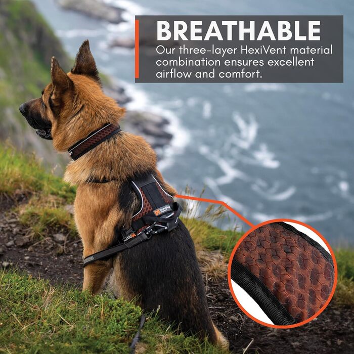 Шлейка для собак Non-Stop Dogwear Rock Harness, розмір M, чорний колір