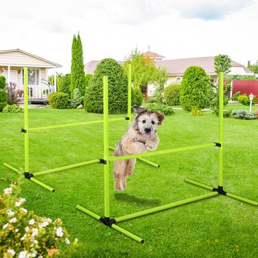 Набір для аджиліті для собак Grün 4X: Слаштом, регульована висота, 104x70x101 см