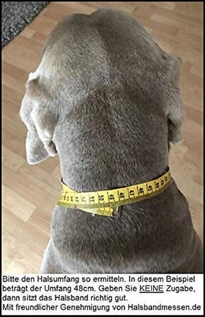 Нашийник для собак Pfoetchen-Welt EM-Keramik з паракорду. Персоналізація з ім'ям. Більше 100 000 варіантів.