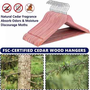 Amber Home 10-Piece 17.5-inch Cedar Wood Clothes Hangers with Non-Slip Notch, Natural Cedarwood Hangers with Round Bar for Suit, T-Shirt, Shirt, Jacket, Coat, Dress, Pants