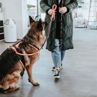 Нашийник для собак Maldon, розмір S-M, оранжево-сірий