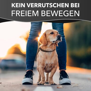 Rund & Weich - Stop Dog Collar Brown L - 55cm with Adjustable Buckle and Integrated Stable Core, Leather Collar with Pull Limiter, Pull Stopper Gentle on Fur, Cowhide Leather