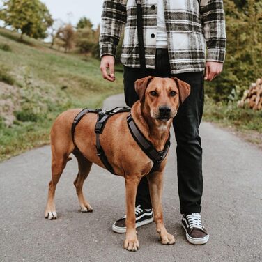 Нашийник захисний Maldon чорний/сірий, розмір M-L