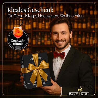 Охолоджувач для вина BARMINGO з нержавіючої сталі з 2 охолоджувальними акумуляторами – охолоджувач напоїв та флаконів для вина, шампанського, сект | Охолоджувач сект з подвійними стінками з охолоджувальними манжетами | Охолоджувач для винних пляшок | Сріб